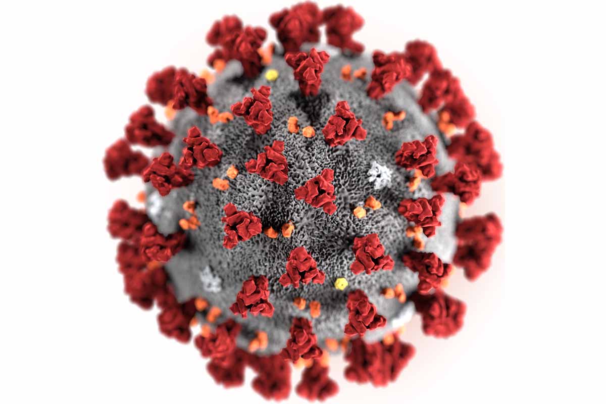 Virus Corona