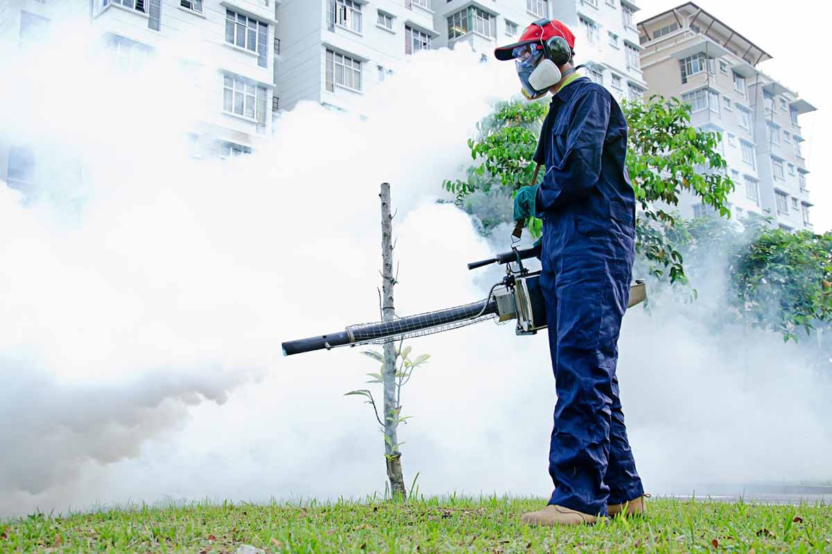 Dịch vụ diệt mối tận gốc uy tín tại Hải Phòng